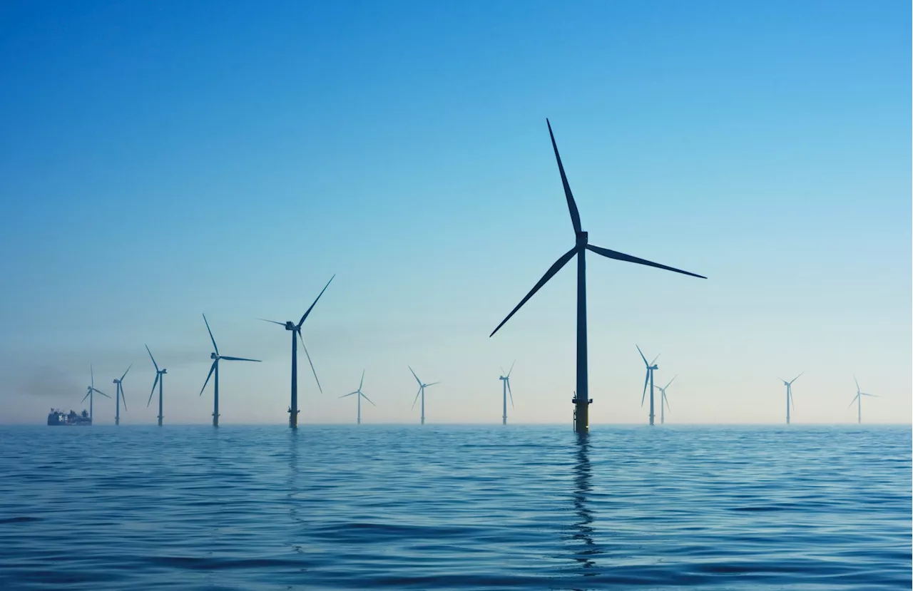 First, biggest offshore wind farm to rise in Camarines Sur