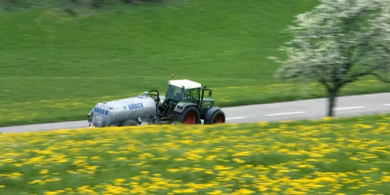 Nicht genügend Felder: Luzern entsorgt seine Gülle im Aargau