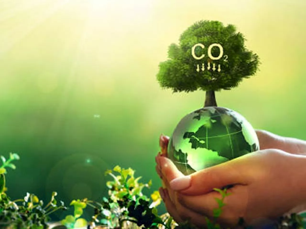 Carbon Footprint: कैसे छोटे-छोटे काम से Environment Preservation में बड़ी मदद कर सकते हैं आप?