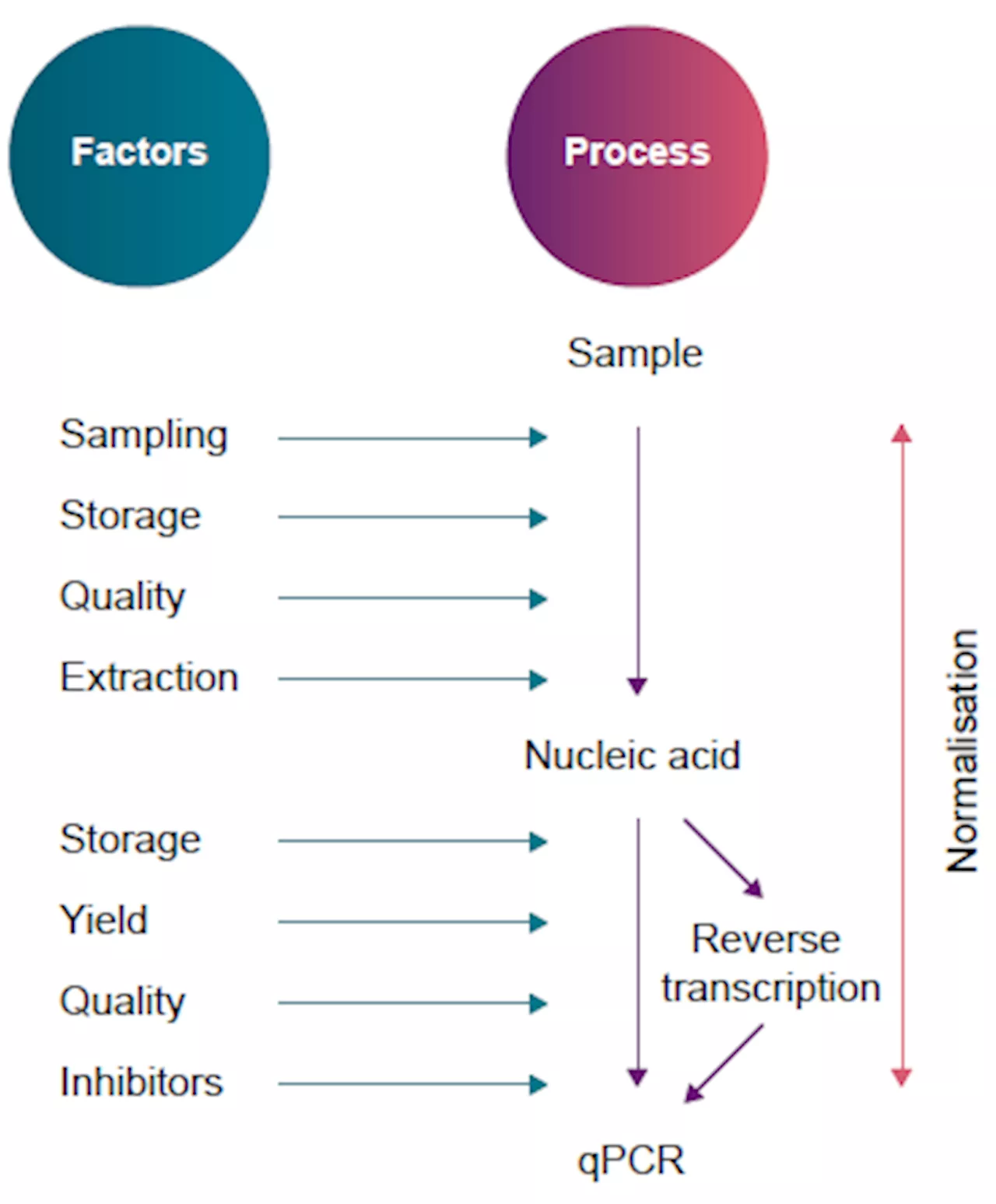 How to build qPCR assays like a pro