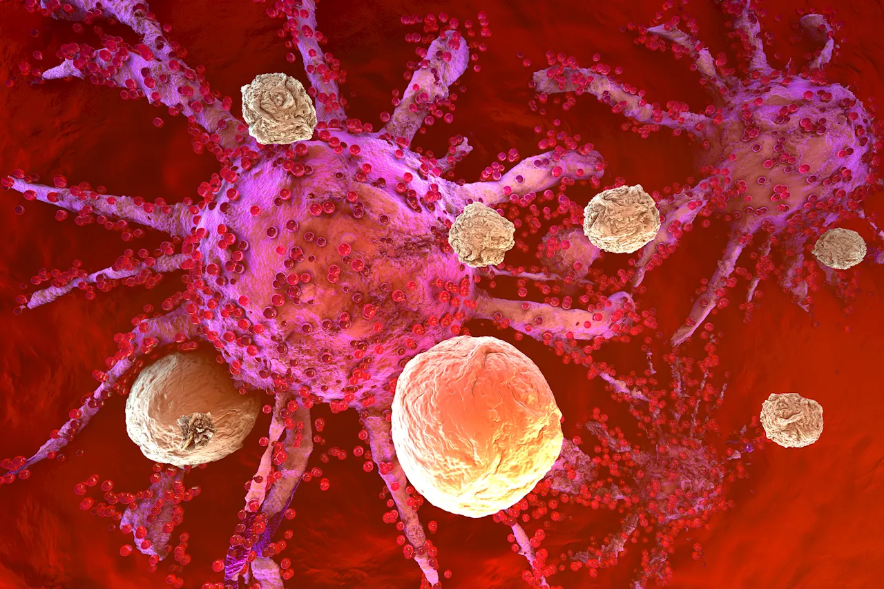 Scientists Make Breakthrough for Successful Cancer Treatment