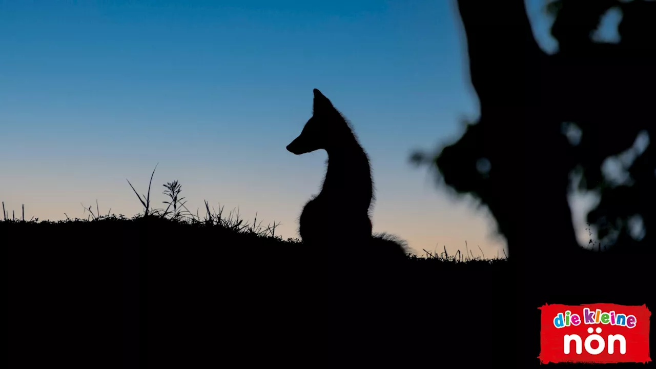 Kein Hund: Dieses Tier war der beste Freund des Menschen