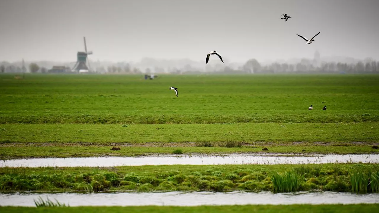 EU-landen stemmen toch in met fel bediscussieerde natuurherstelwet