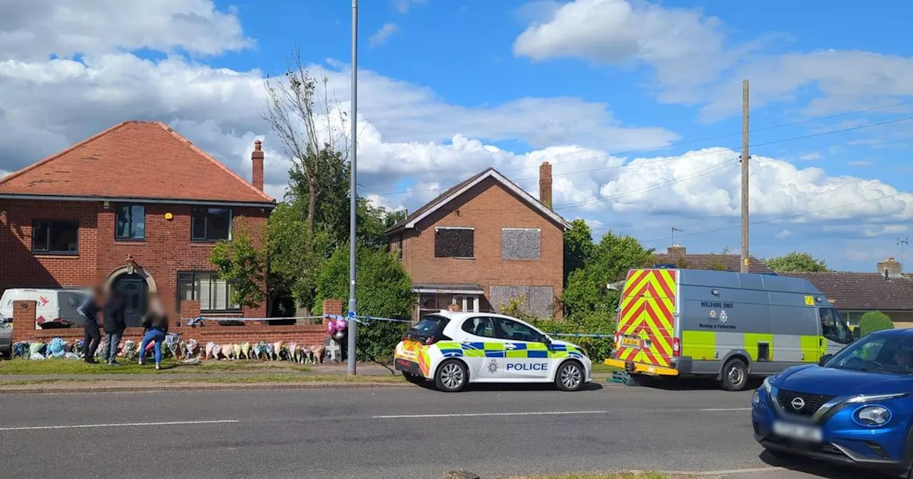 Neighbours in shock after tree falls on teen in 'tragic' incident