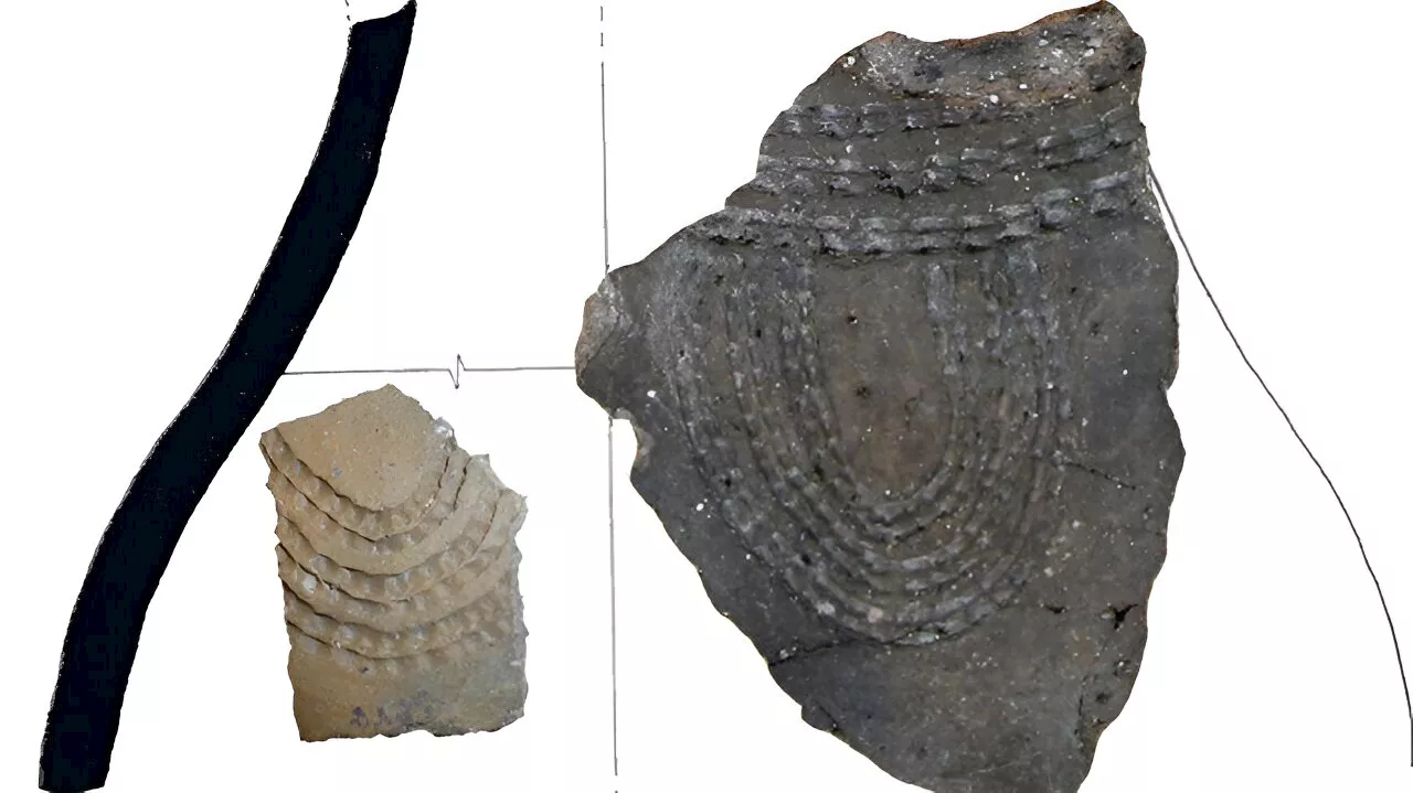 Direct evidence found for dairy consumption in the Pyrenees in the earliest stages of the Neolithic