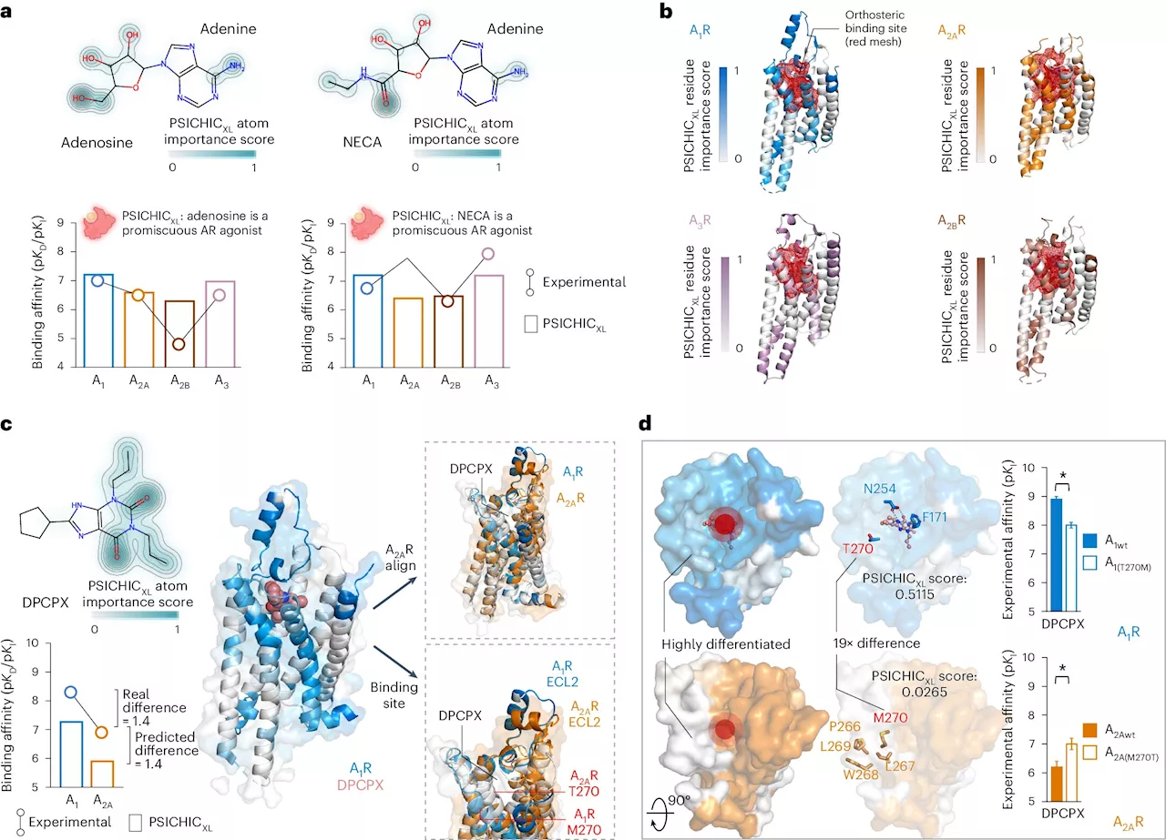 New AI tool for rapid and cost-effective drug discovery