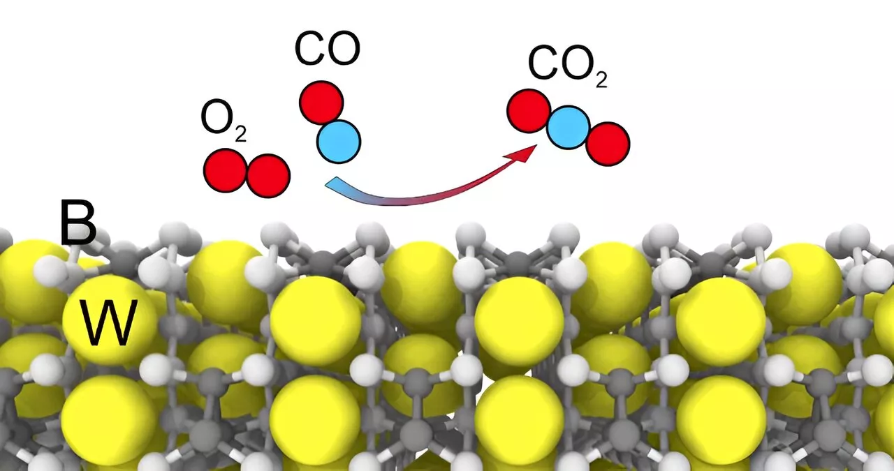 New promising catalyst: Study reveals tungsten pentaboride's resistance to sulfur poisoning