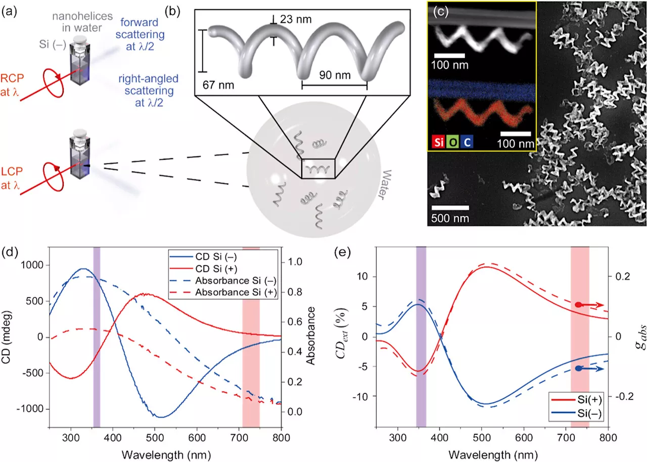 Physicists discover a new optical property that measures the twist in tiny helices