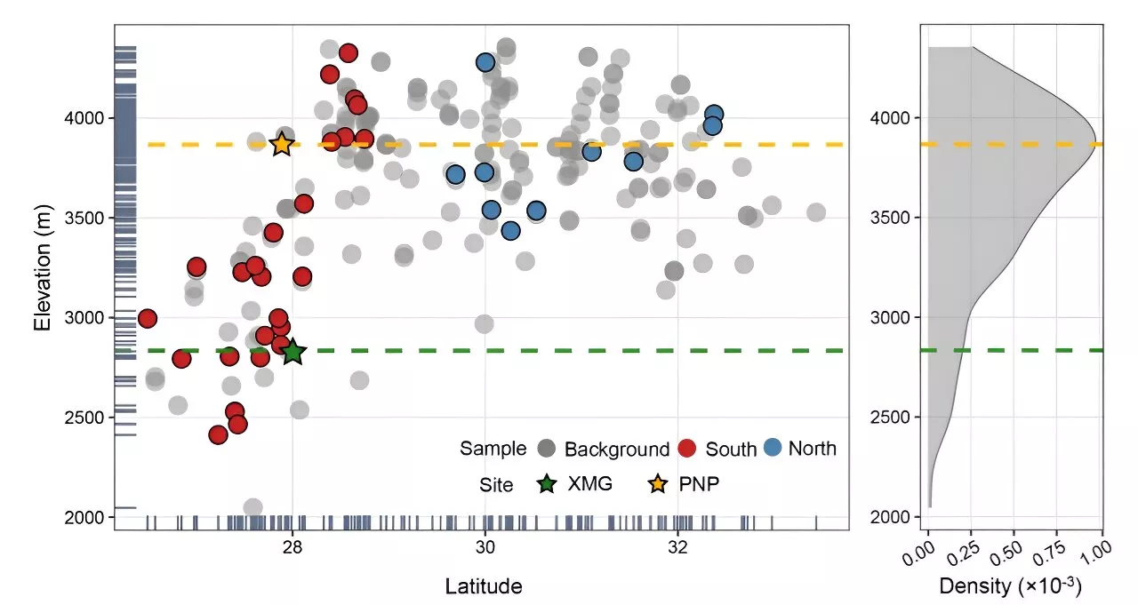 Study shows endemic plants adapt to high altitude by adjusting phenotypic traits