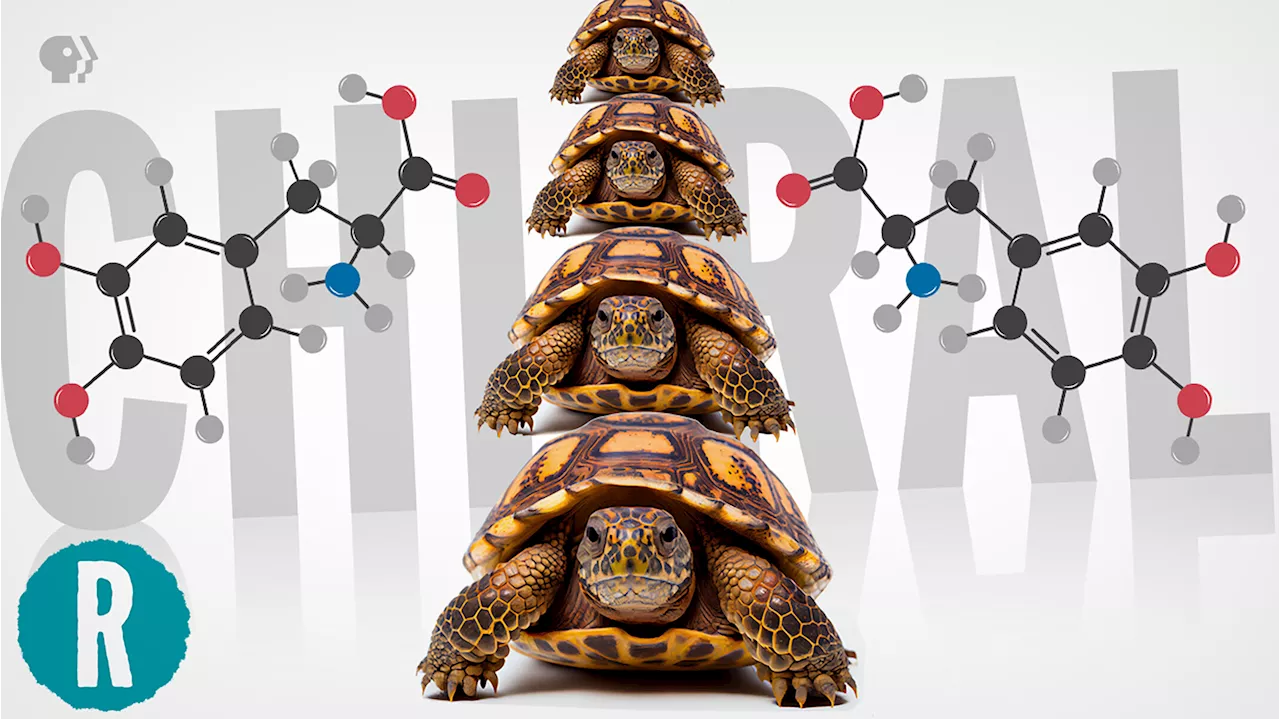 Video: Making this Parkinson's drug is just turtles all the way down