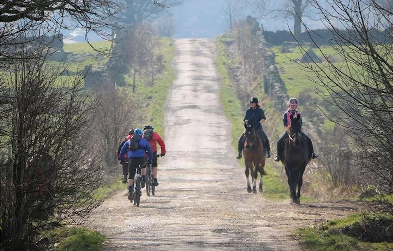 Drivers “surprised and happy” to see horses on the road – but “frustrated, angry, and anxious” when overtaking cyclists, new road rage study finds