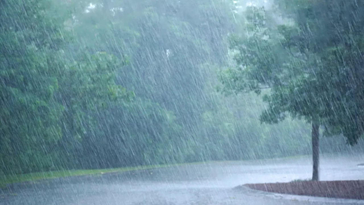 Prévisions météo: d'intenses averses orageuses pour débuter la semaine avant le retour de la chaleur