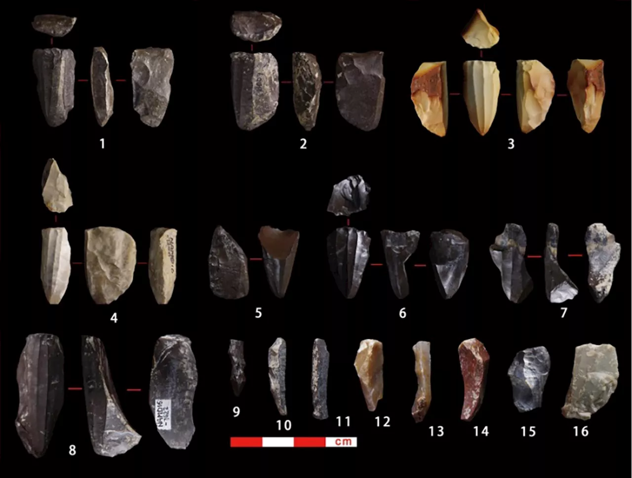 15,000-Foot Secrets: Ancient Tools Reshape History on the Tibetan Plateau