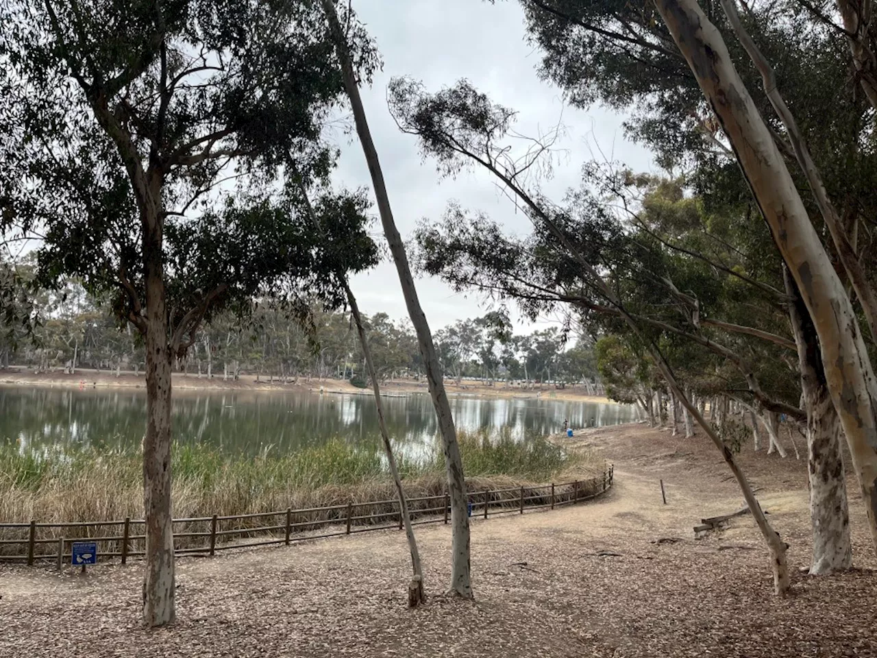 Hike of the week: Find a peaceful lake and easy trails at Chollas Lake Park