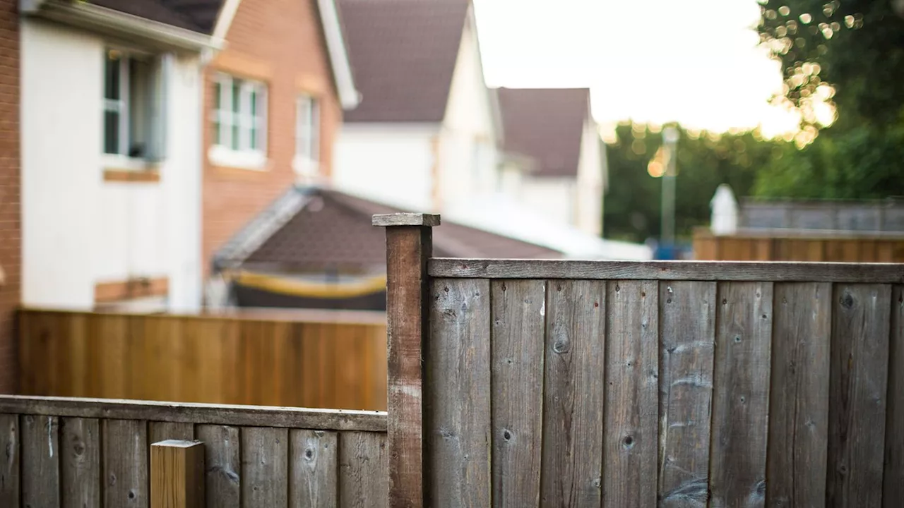 Money blog: Neighbour fence dispute answered by solicitor; Tesco denies it is copying Amazon