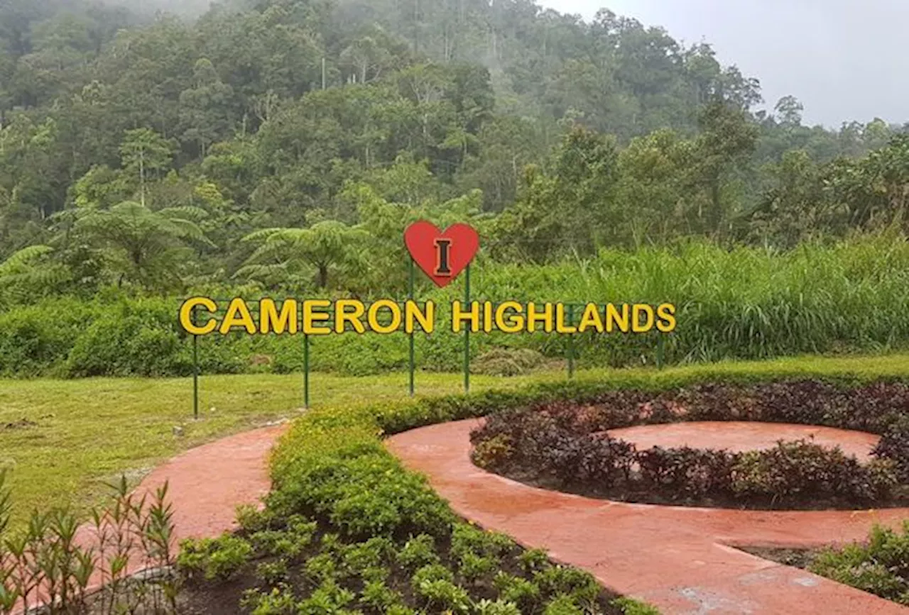 Cameron Highlands needs strict zoning laws, says environmental group