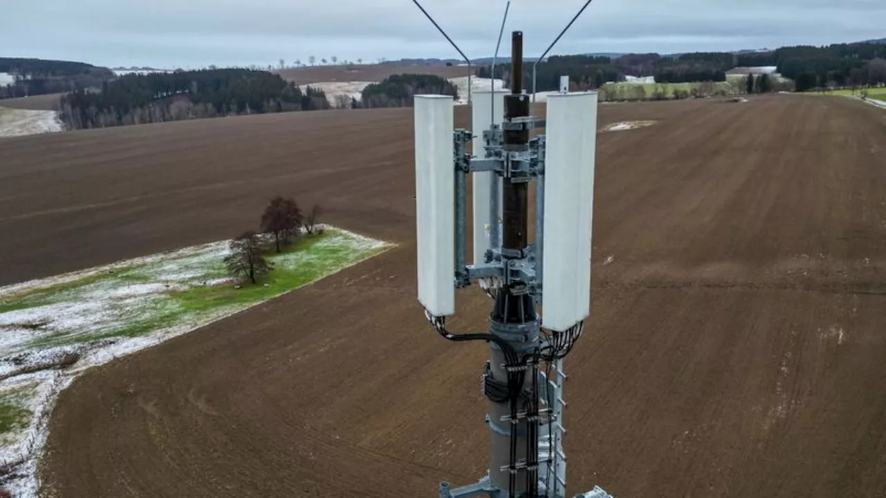Mobilfunk: Netzagentur-Chef: Pflicht für flächendeckendes Handynetz