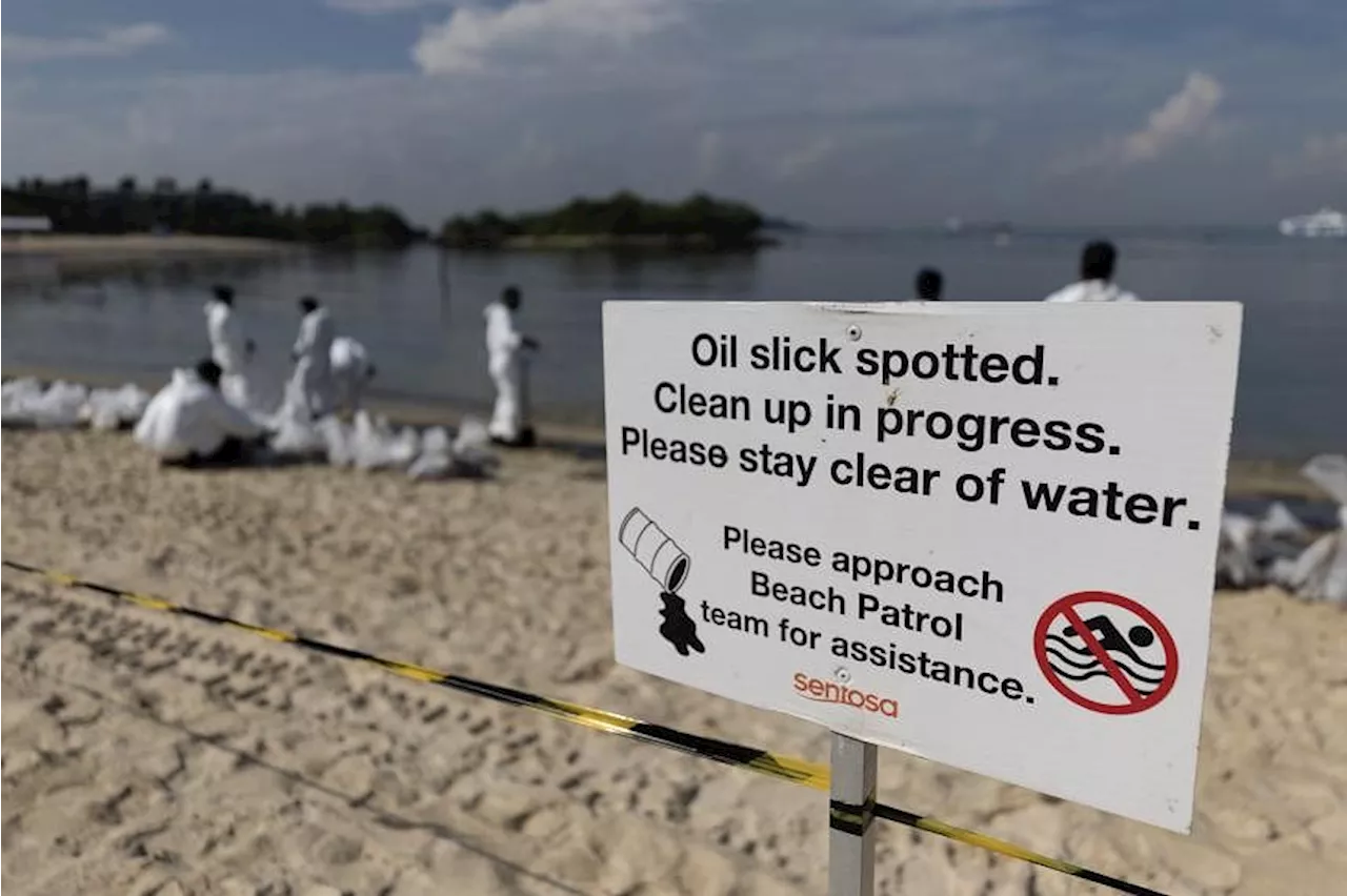 Oil spill incident: Singapore’s water supply not affected; local fish safe to eat