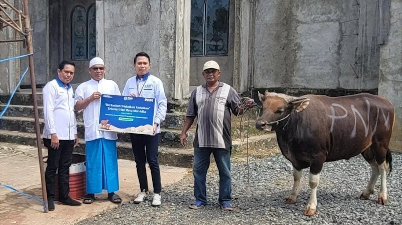 Sambut Idul Adha Tahun Ini, PNM Salurkan Hewan Kurban ke Daerah Tertinggal, Terluar, dan Terdepan