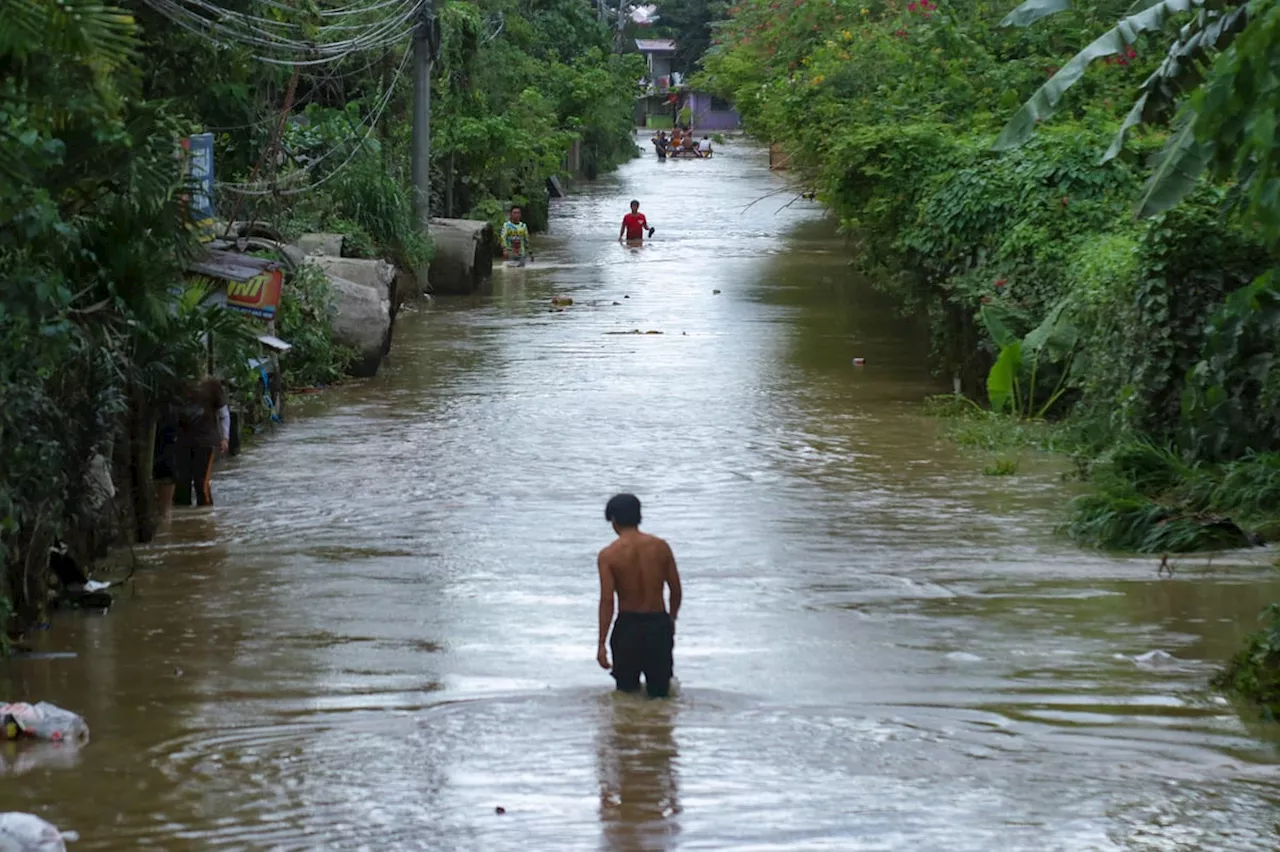 Leptospirosis cases in Davao surge 62.8%