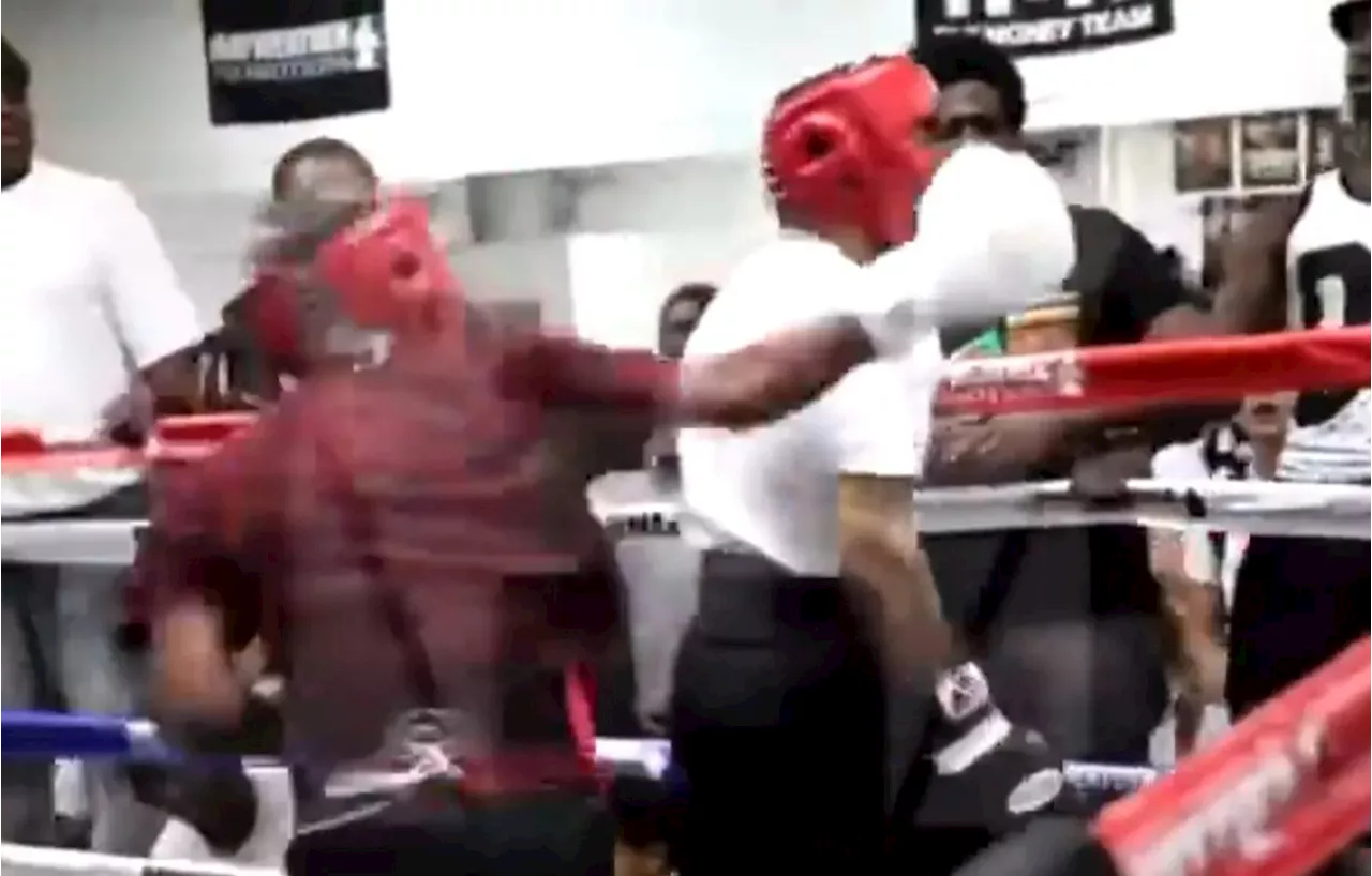 Devin Haney makes Gervonta Davis pay for turning his back in 18-minute video of infamous sparring session...