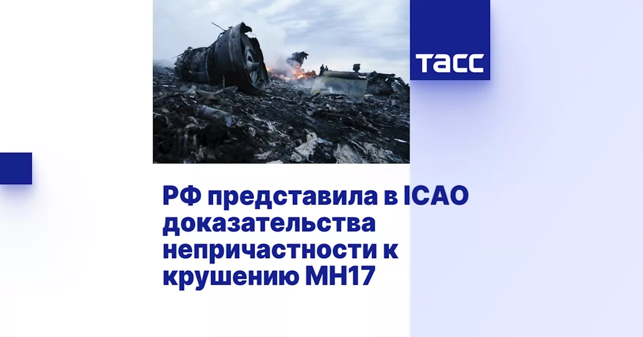 РФ представила в ICAO доказательства непричастности к крушению МН17