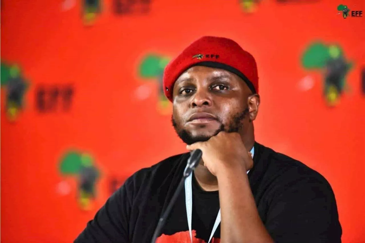 Shivambu ‘saved the day’ at first National Assembly sitting, says Zille