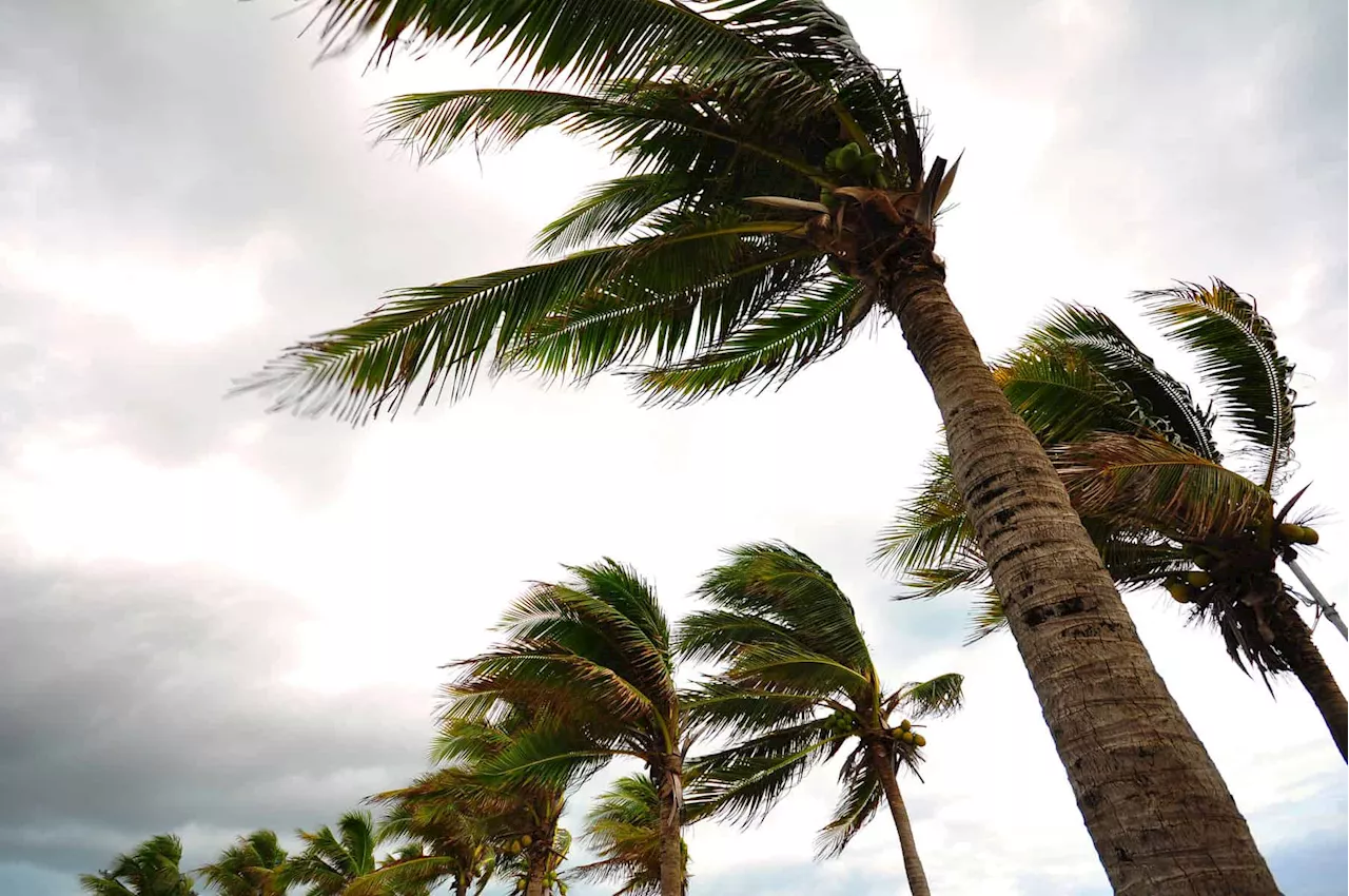 Weather service warns of gale force winds and high waves in Western Cape