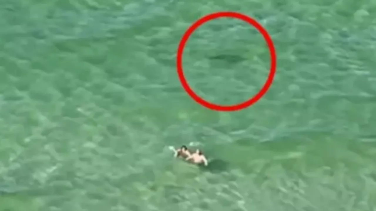 Horror moment tourists scream ‘SHARK’ at clueless swimmers as predator circles them off Florida beach...