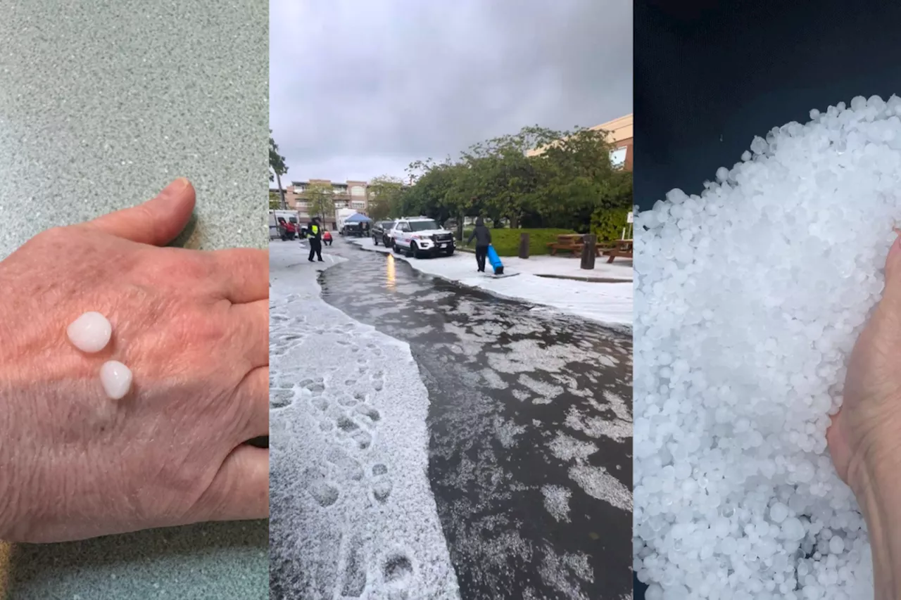 Hail the size of 'small grapes' falls in 'unusual' storm for Metro Vancouver