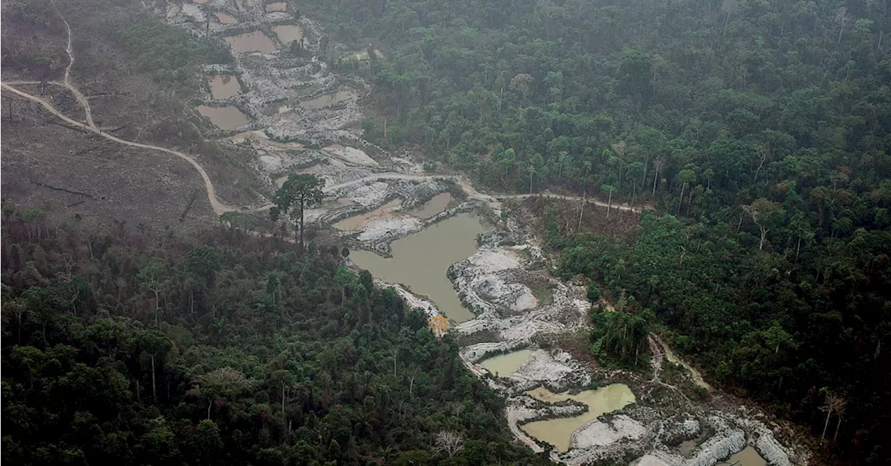 BNDES destina R$ 318 milhões do Fundo Amazônia a plano de segurança do MJ