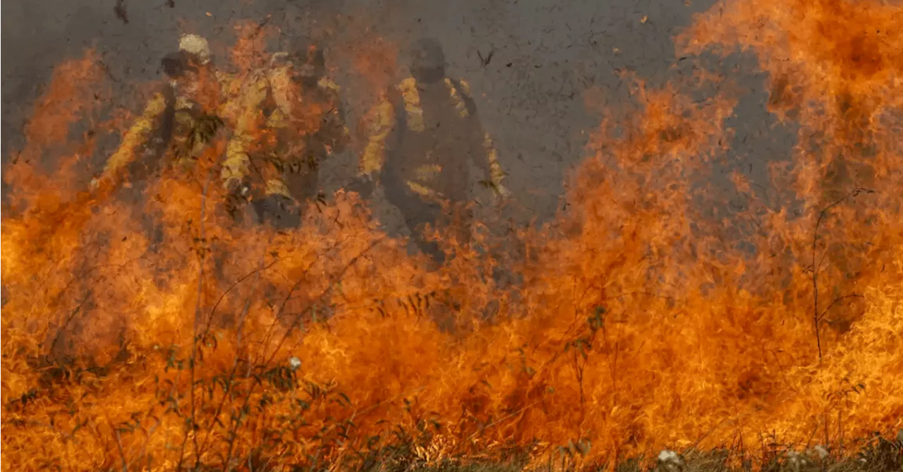 Incêndios no Pantanal acendem alerta e mobilizam governo federal e estados