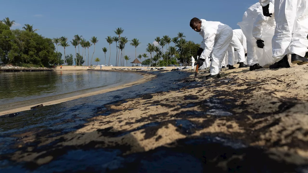 Huge oil spill blackens Singapore’s picturesque beaches