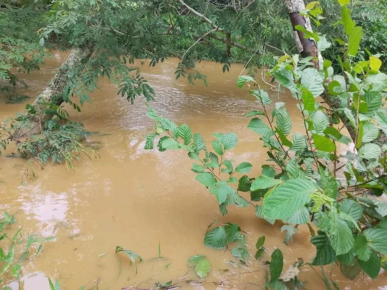 Emergencia en Planeta Rica por inundaciones: más de 300 familias estarían afectadas