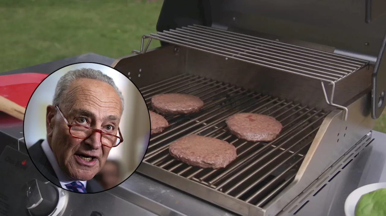 Chuck Schumer grilled over Father's Day BBQ photo: 'Obviously staged'