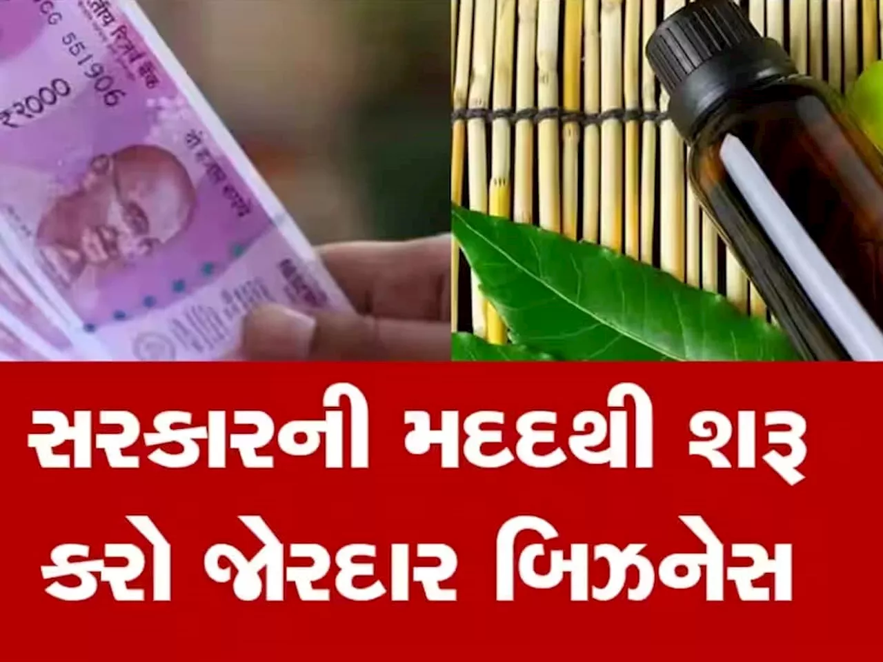 Startup Idea: 90% સુધી લોન અને 25 ટકા સુધીની મળે છે સબ્સિડી, નોકરી છોડો અને આ ધંધો કરો