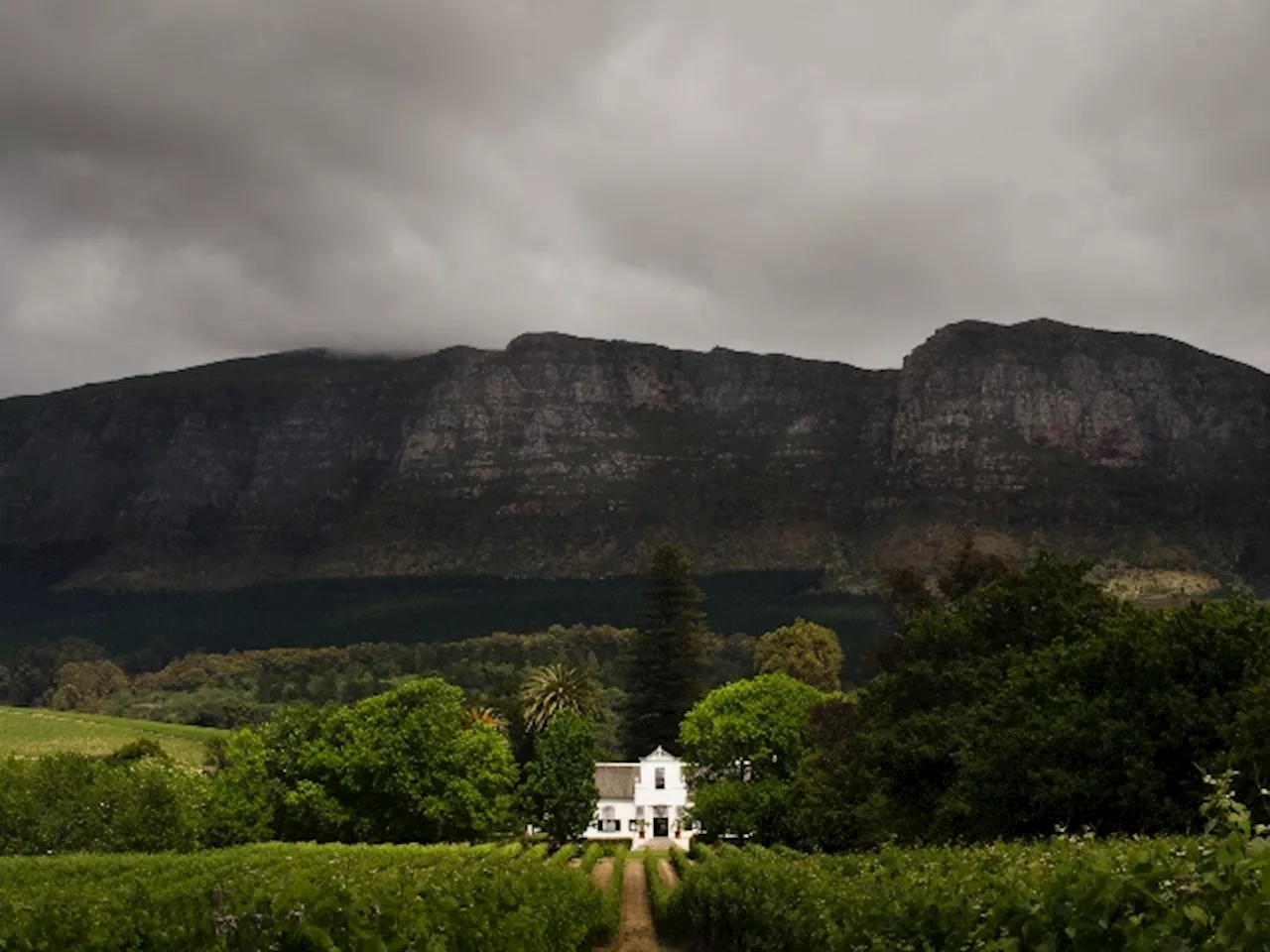 – Luxury Home Sales Are Booming In Constantia