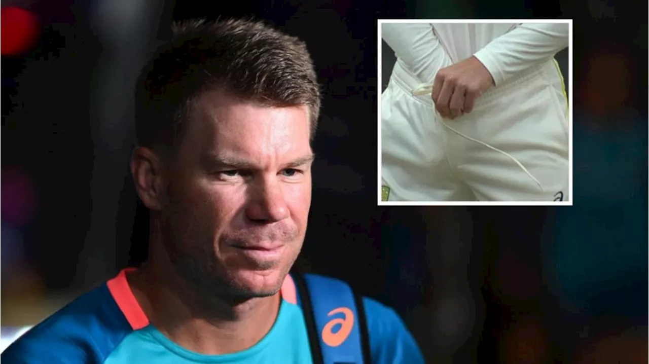 Australian cricket veteran David Warner makes fresh admission about ball-tampering saga