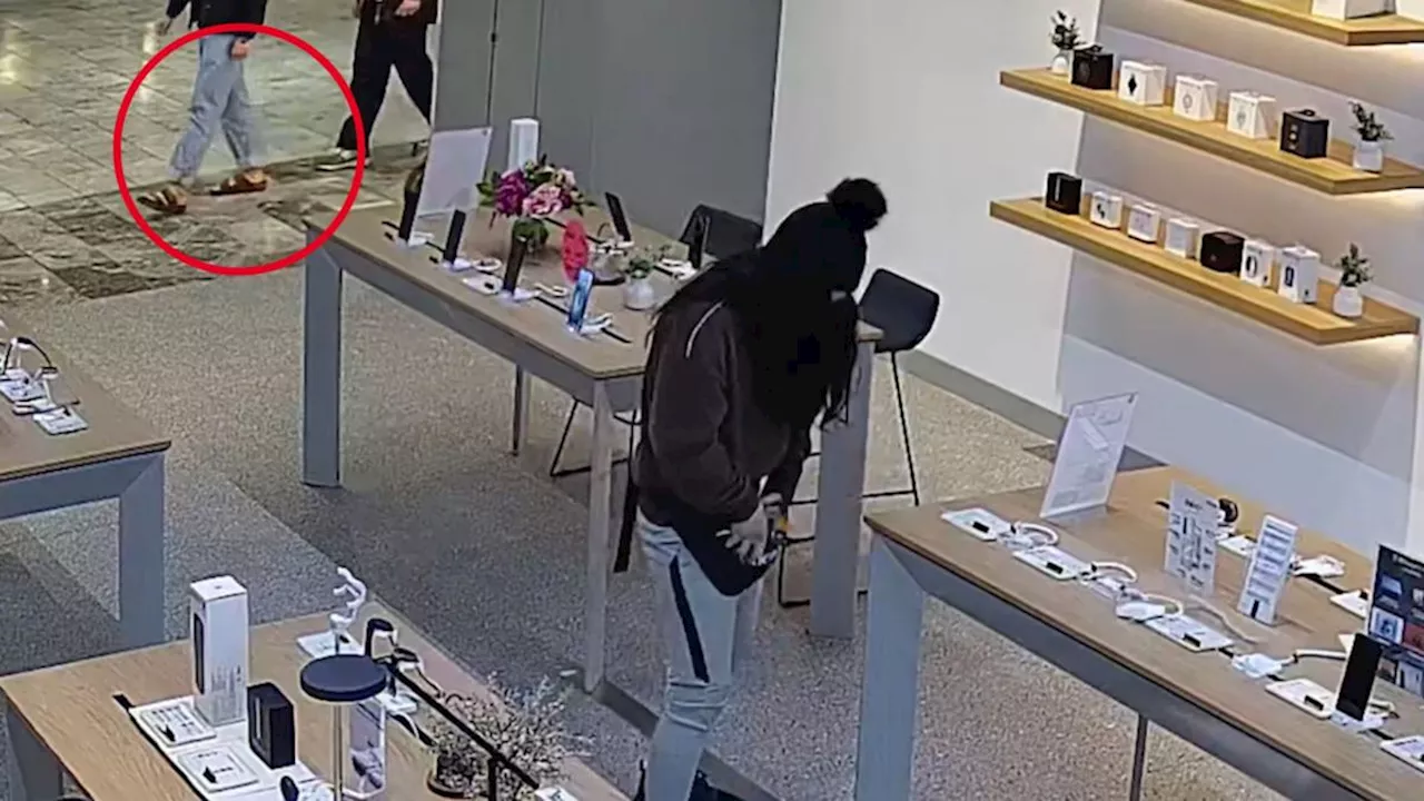 Man steals $10k worth of mobile phones with scissors from Glen Waverley in Melbourne