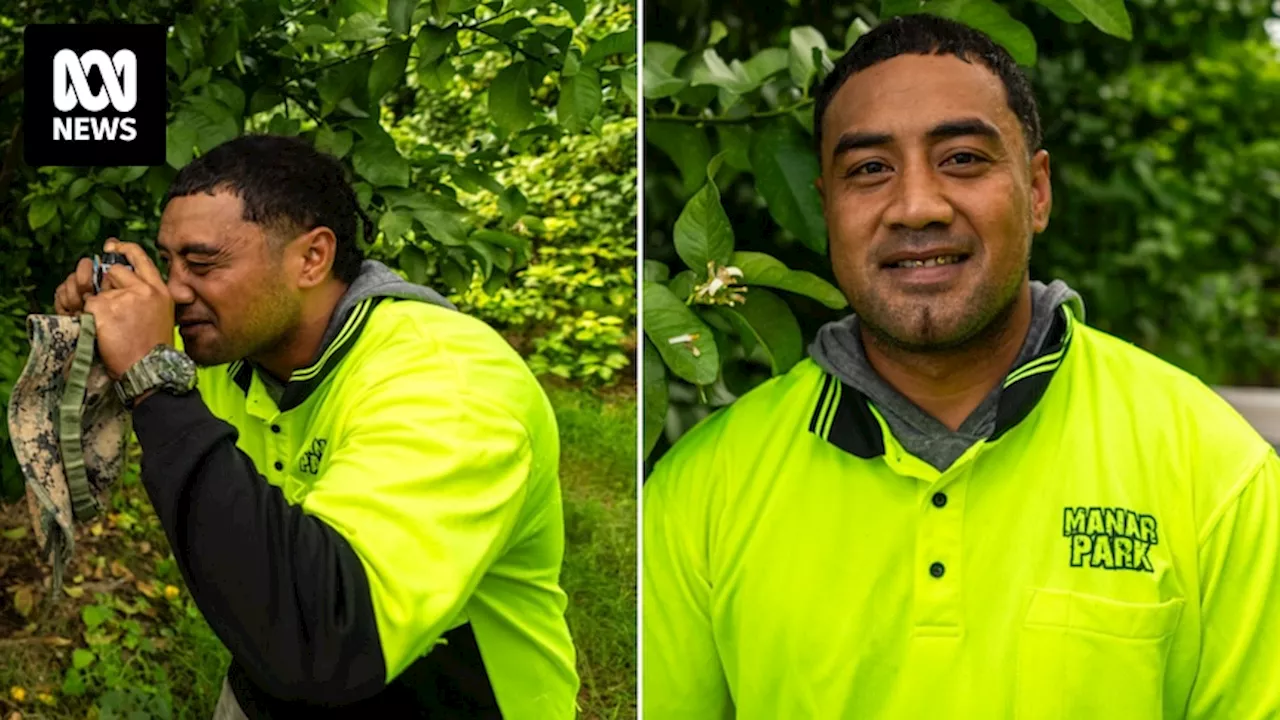 Photography exhibition shines light on international workers' experience on Australian farms