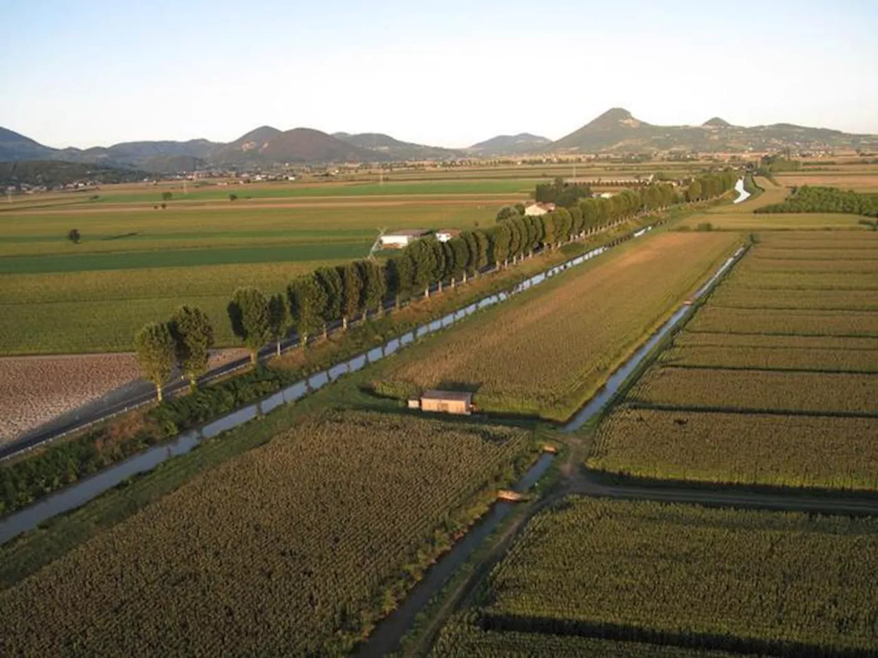 Istat, 'clima taglia l'agricoltura, 1,8% la produzione nel 2023'