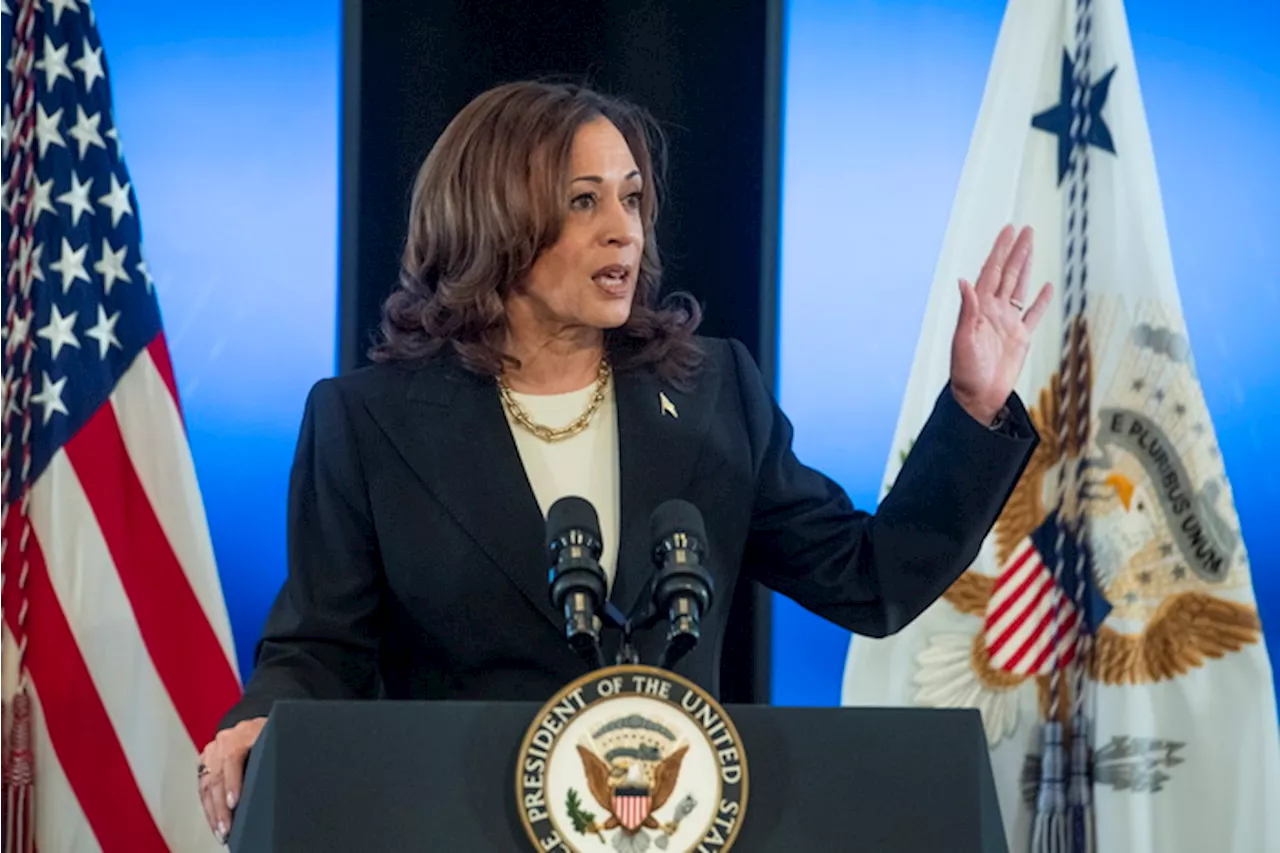 La vicepresidente Usa, Kamala Harris, a Washington