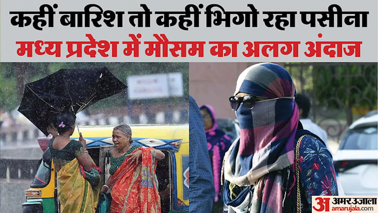 MP Weather Today: प्रदेश के 10 जिलों में भीषण गर्मी, छह जिलों में बारिश का रेड अलर्ट, जानें कहां-कैसा है मौसम