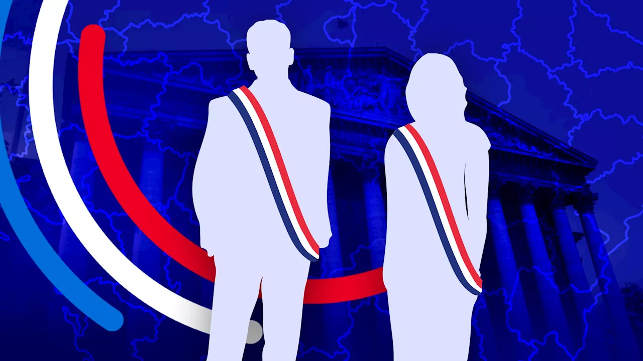 Législatives 2024 dans le Var: la liste complète des candidats dans chaque circonscription