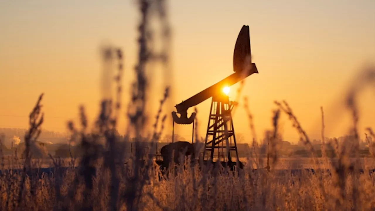 Oil price news: Oil holds gain as risk-on sentiment helps to support commodities