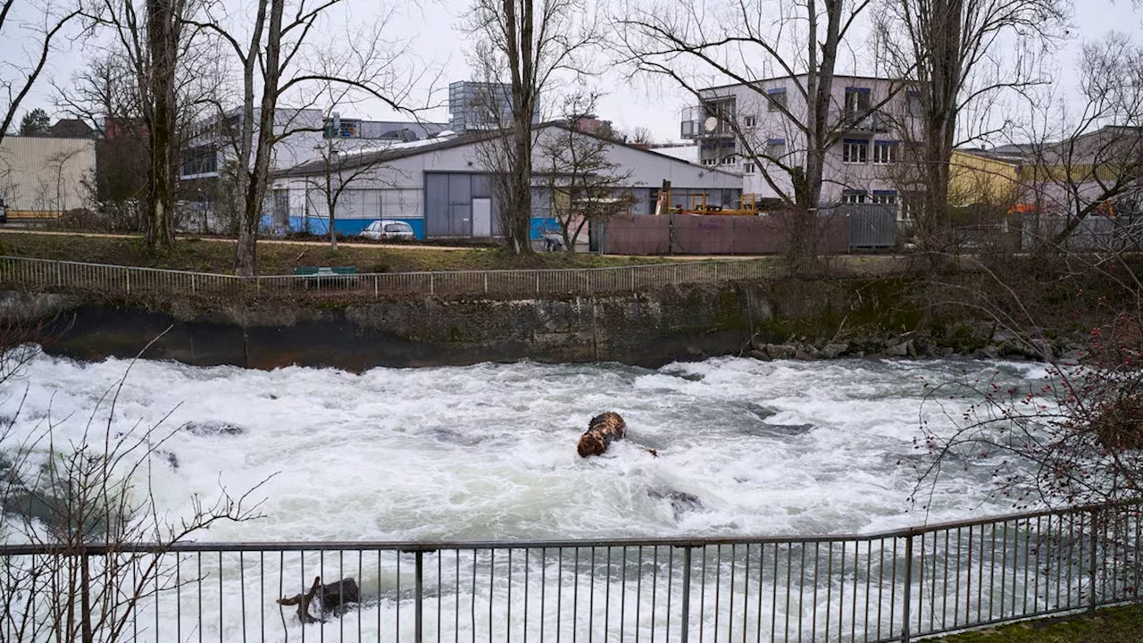 Baselland und Solothurn einigen sich auf Variante für neue Birsbrücke