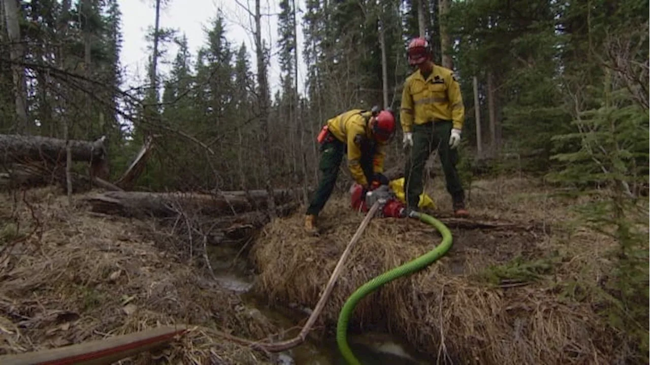 'Crucial springtime': Why Alberta's wildfire season is off to a better start this year