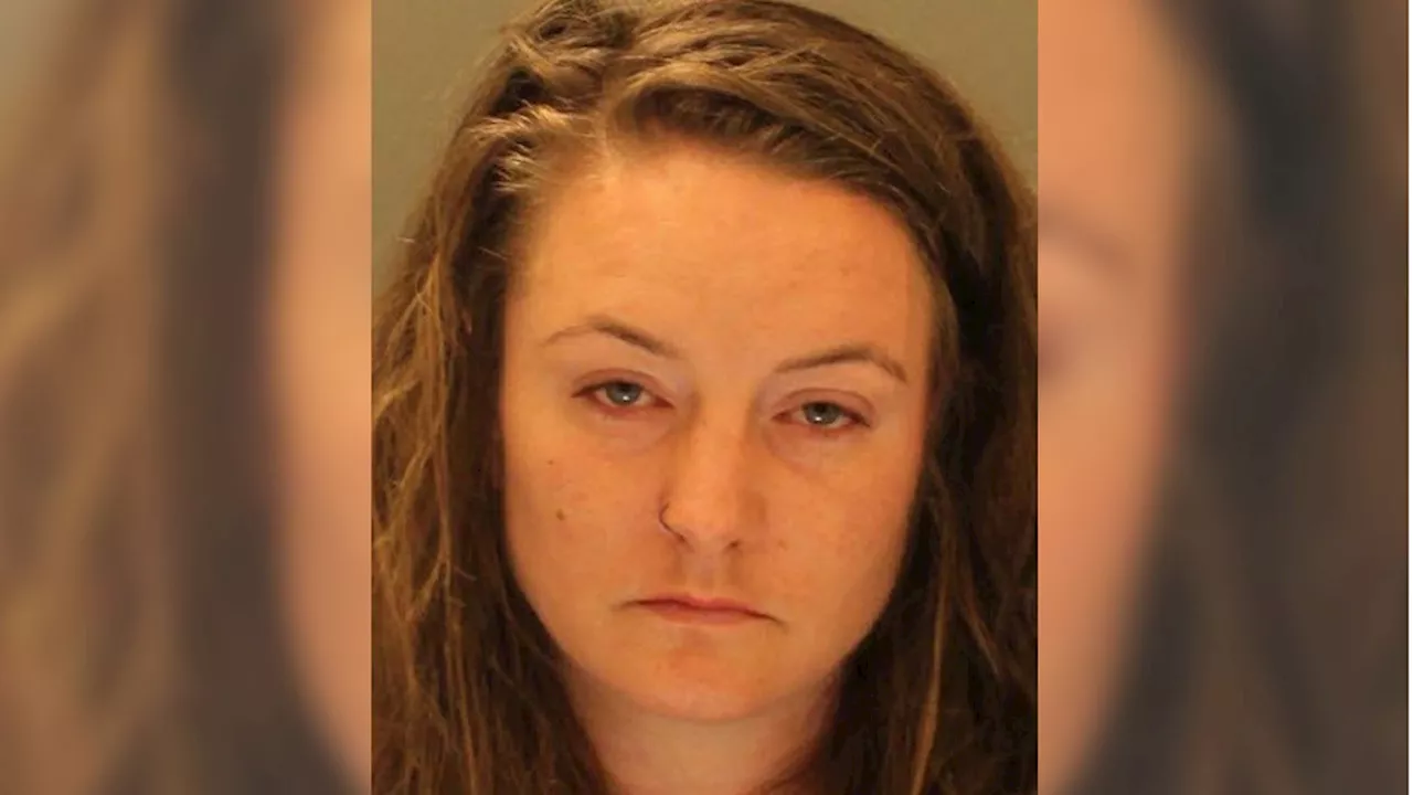 Toddler found alone in hot car while mom was allegedly intoxicated, asleep in bathroom