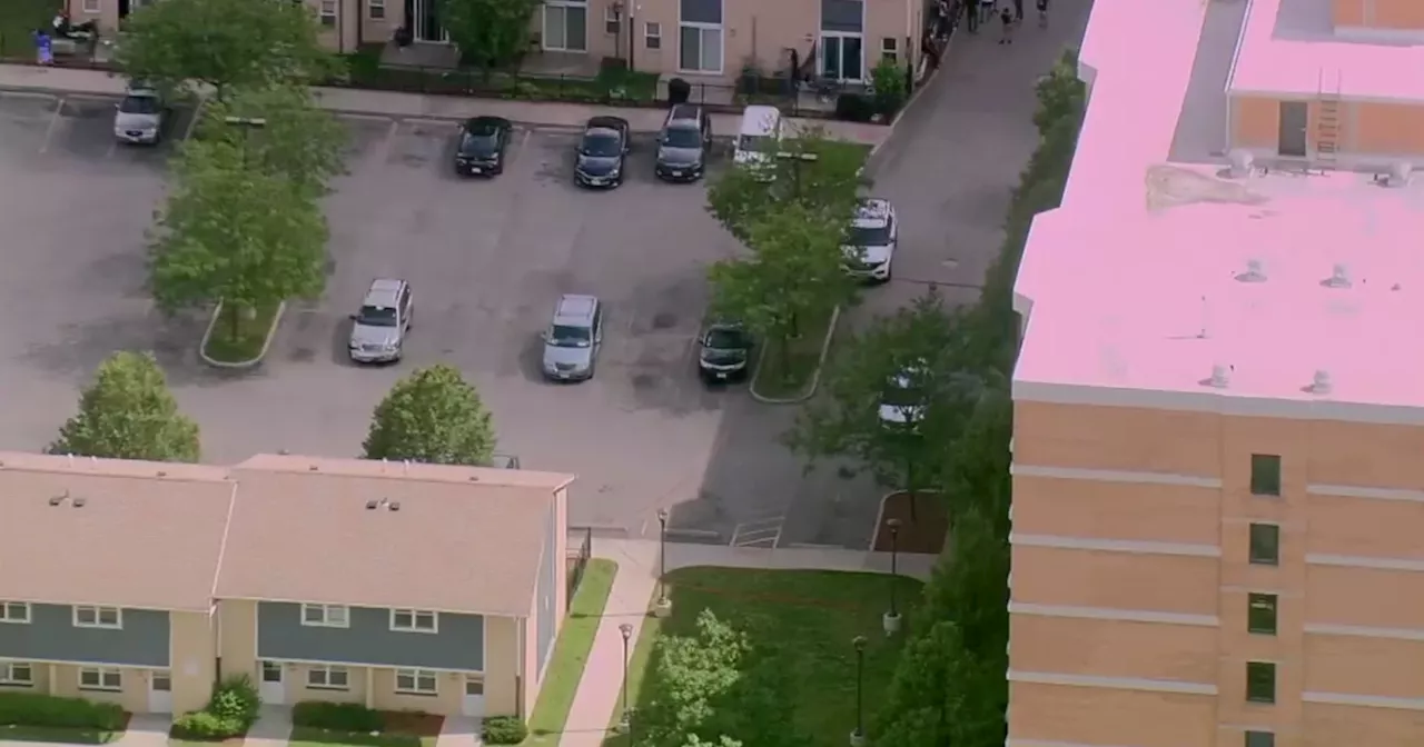 Boy, 7, dies after being shot on Chicago's Near West Side