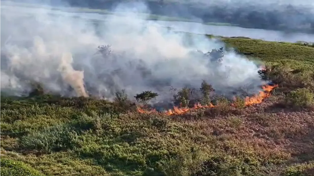 Forças Armadas darão apoio em combate a incêndios no Pantanal e Amazônia